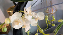 Load image into Gallery viewer, Artificial White Orchid with White Vase
