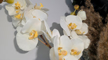 Load image into Gallery viewer, Artificial White Orchid with White Vase

