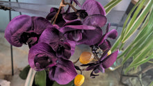 Load image into Gallery viewer, Artificial Purple Orchid with Black Vase
