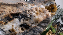 Load image into Gallery viewer, 13" Large Rare Solaris Quartz Crystal Cluster
