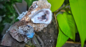 Seashell w/ Opalite Crystals & Artificial Moss