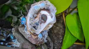Seashell w/ Opalite Crystals & Artificial Moss