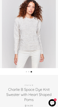 Load image into Gallery viewer, Charlie B Heart Shape Space Dye Knit Sweater XS NWT
