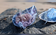 Load image into Gallery viewer, Amethyst &amp; Crackle Quartz Crystal  Seashells 2pcs
