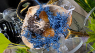 Amethyst, Citrine, Selenite Crystals & Artificial Moss in Seashell (stand Included)