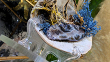 Load image into Gallery viewer, Selenite &amp; Occo Geode in Moss Seashell (stand Included)
