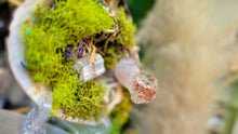Load image into Gallery viewer, Quartz Crystal, Selenite &amp; Artificial Moss in Seashell (stand Included)
