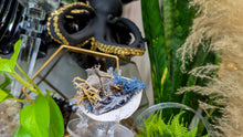 Load image into Gallery viewer, Selenite &amp; Occo Geode in Moss Seashell (stand Included)
