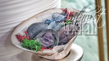 Load image into Gallery viewer, Amethyst Crystal &amp; Artificial Moss in Seashell
