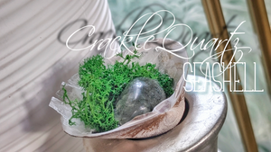 Crackle Quartz & Artificial Moss in "Merb" Seashell