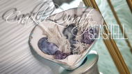 Crackle Quartz Selenite Artificial Moss in Seashell