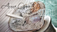 Angel Aura Quart Selenite Crystal & Artificial Moss in Seashell