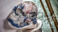 Angel Aura Crackle Quart Crystal & Artificial Moss in Seashell