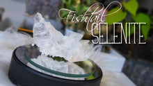 Load image into Gallery viewer, 5" Rare Fishtail Selenite Crystal Slab
