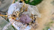 Amethyst, Selenite Crystals & Artificial Moss in Seashell (stand Included)