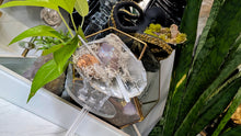 Load image into Gallery viewer, Aura Quartz, Selenite Crystal &amp; Artificial Moss in Seashell (stand Included)
