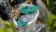 Amethyst & Selenite Crystals in Moss Seashell (stand Included)