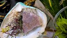 Load image into Gallery viewer, Amethyst Crystal &amp; Artificial Moss in Blue Seashell (stand Included)
