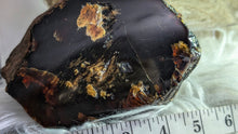 Load image into Gallery viewer, 5" Rare Dark Indonesian Amber Mineral Cluster
