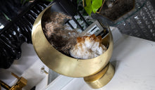 Load image into Gallery viewer, Citrine Crystal in Half Moon w/Pampas Grass
