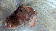 Load image into Gallery viewer, 3&quot; Rare A-grade Thunder Bay Amethyst Auralite23 Crystal Cluster
