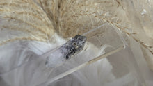 Load image into Gallery viewer, Lodolite Goethite Tibetan Quartz Pendant
