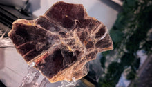 Load image into Gallery viewer, Biotite &amp; Mica Crystal Slab w/Stand
