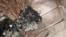 Load image into Gallery viewer, Bulgarian Quartz Galena Pyrite Crystals (2pcs)
