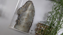 Load image into Gallery viewer, Agate Crystal Bookend w/ Gold Backing
