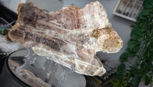 Load image into Gallery viewer, 9-10&quot; Biotite &amp; Mica Crystal Slab w/Stand
