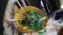 Load image into Gallery viewer, Emerald Selenite Crystal &amp; Artificial Moss in Seashell

