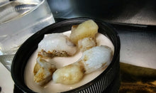 Load image into Gallery viewer, Opalized Wood from Virgin Valley, Arizona (5pcs)
