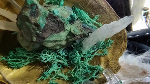 Emerald Selenite Crystal & Artificial Moss in Seashell