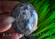 Black Moonstone Crystal Palmstone