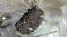 Load image into Gallery viewer, 2&quot; Thunder Bay Smokey Amethyst Crystal Cluster
