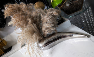 Pampas Grass Arrangement in Chrome Vase