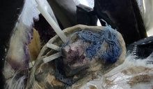 Load image into Gallery viewer, Amethyst Agate Selenite Crystal &amp; Artificial Moss in Seashell

