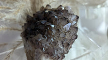 Load image into Gallery viewer, 2&quot; Thunder Bay Smokey Amethyst Crystal Cluster
