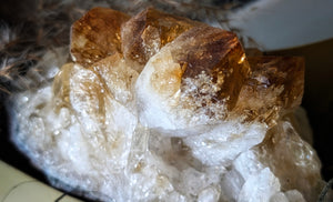 Citrine Crystal in Half Moon w/Pampas Grass