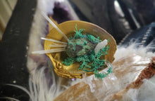 Load image into Gallery viewer, Emerald Selenite Crystal &amp; Artificial Moss in Seashell
