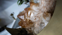 Load image into Gallery viewer, Citrine Crystal in Half Moon w/Pampas Grass
