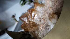 Citrine Crystal in Half Moon w/Pampas Grass