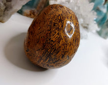 Load image into Gallery viewer, 3&quot; Starry Jasper Stone Crystal Skull Carving
