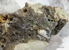 Load image into Gallery viewer, Rare Kelowna Natrolite Crystal in Druzy Matrix
