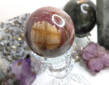 Load image into Gallery viewer, Petrified Wood Fossilized Sphere with Crystal Stand
