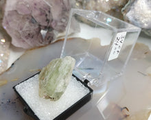 Load image into Gallery viewer, 1&quot; Hiddenite Kunzite Crystal in Display Case
