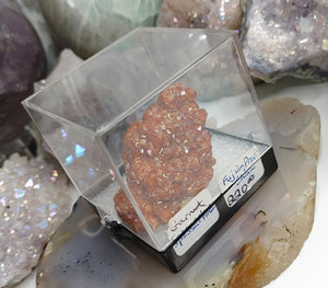 1.5" Rare Fujian Province of China Garnet Crystal in Display Case