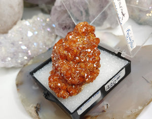 1.5" Rare Fujian Province of China Garnet Crystal in Display Case