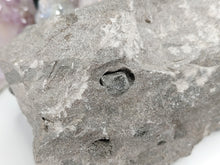 Load image into Gallery viewer, 5" Herkimer Diamond in the Matrix
