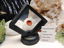 Load image into Gallery viewer, Polished Red Amber with Insect in Display Case
